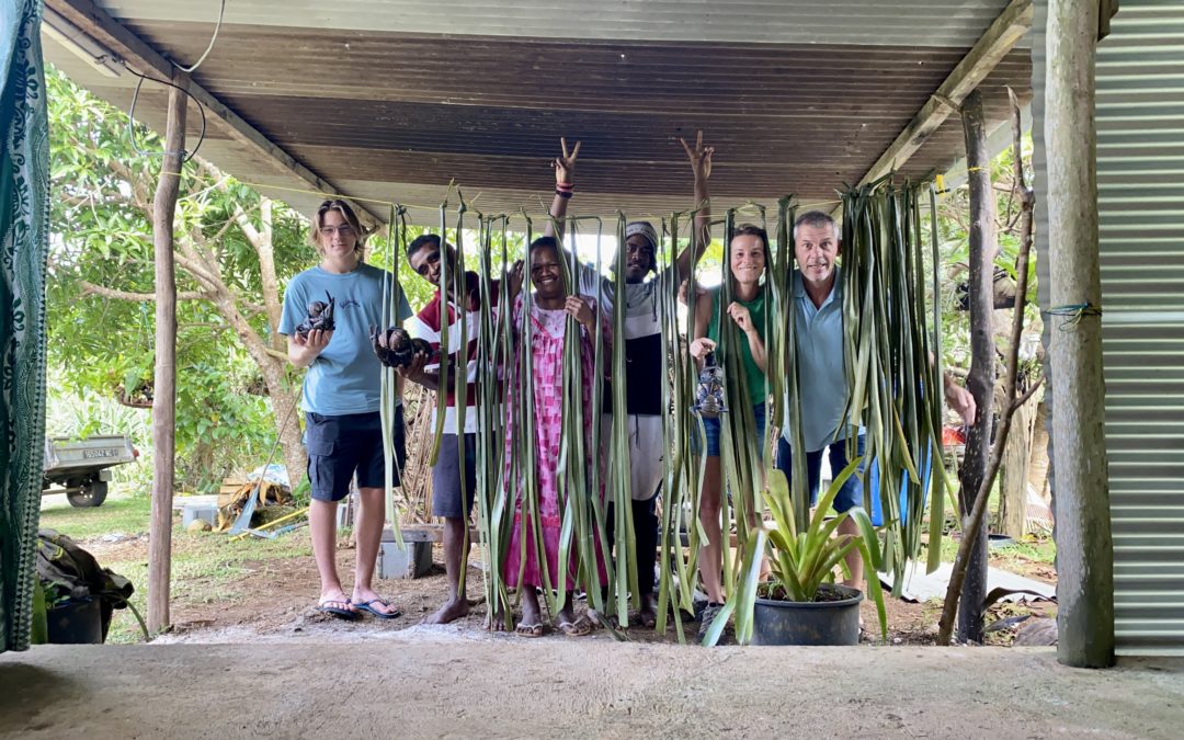 Pandanus de YVY : C’est parti !