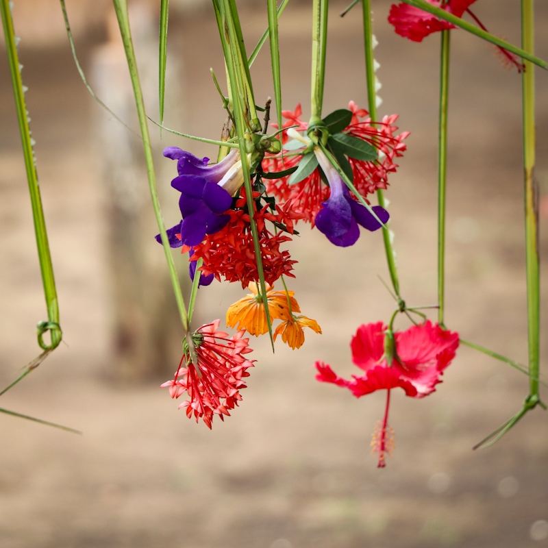 papouasie aidocean fleurs mission humanitaire