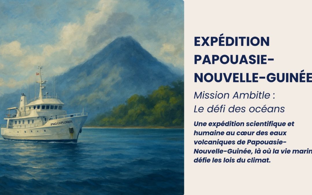 Pojet ambitle coraux papouasie aidocean
